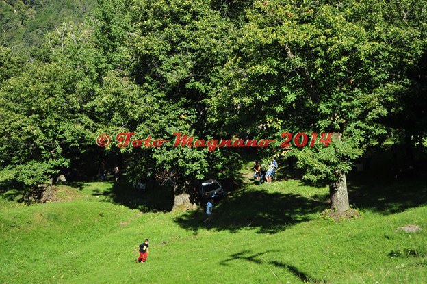 DSC_9835.JPG